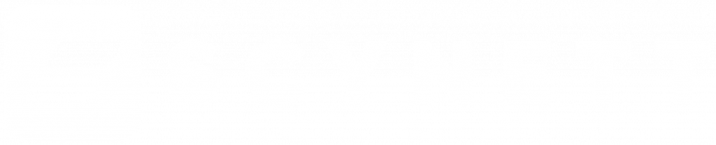scynett white logo
